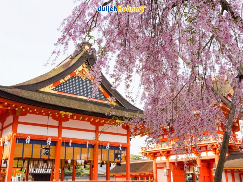 Đền thờ Fushimi Inari Taisha vào mùa xuân Đền thờ Fushimi Inari Taisha vào mùa xuân