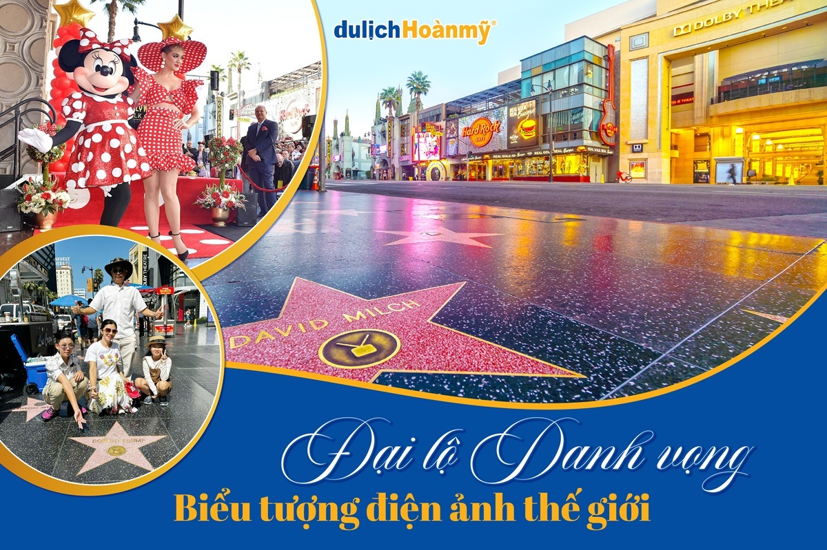 Khám phá Đại lộ Danh Vọng Hollywood: Biểu tượng điện ảnh thế giới 4 dai-lo-danh-vong